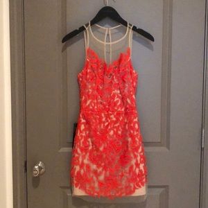 Rosa Embroidered Sheer Lace Overlay Dress